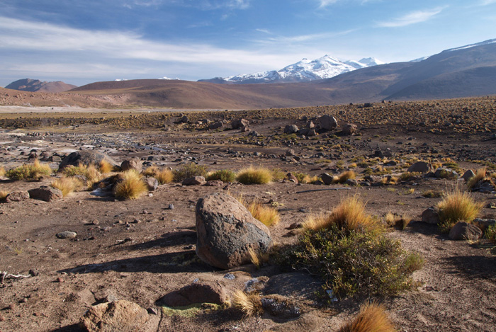 ElTatio_06P1252822