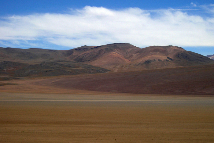 Bolivia altiplano P1300434