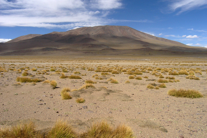 Bolivia altiplano P1300469