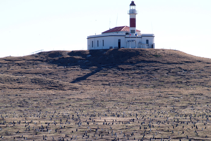 Isla MagdalenaP2082758